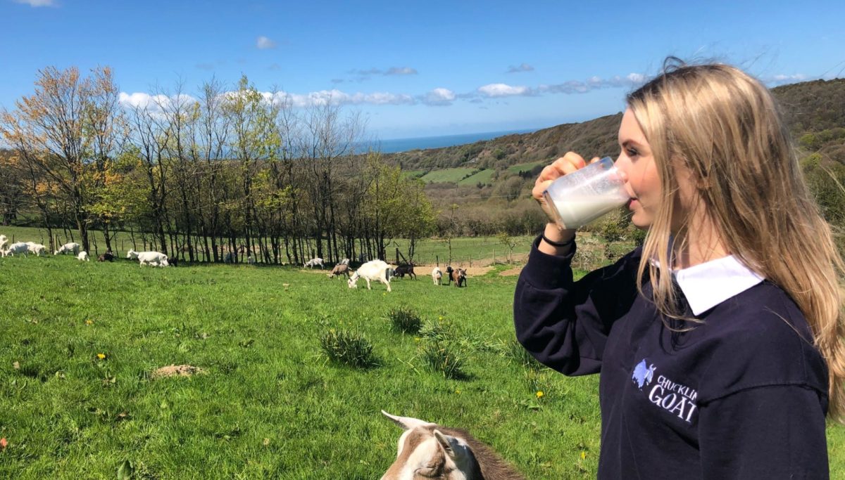 What is kefir? | Chuckling Goat