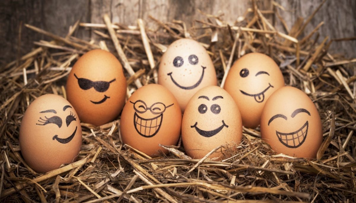 Eggs are a magic food. Eat eggs. | Chuckling Goat