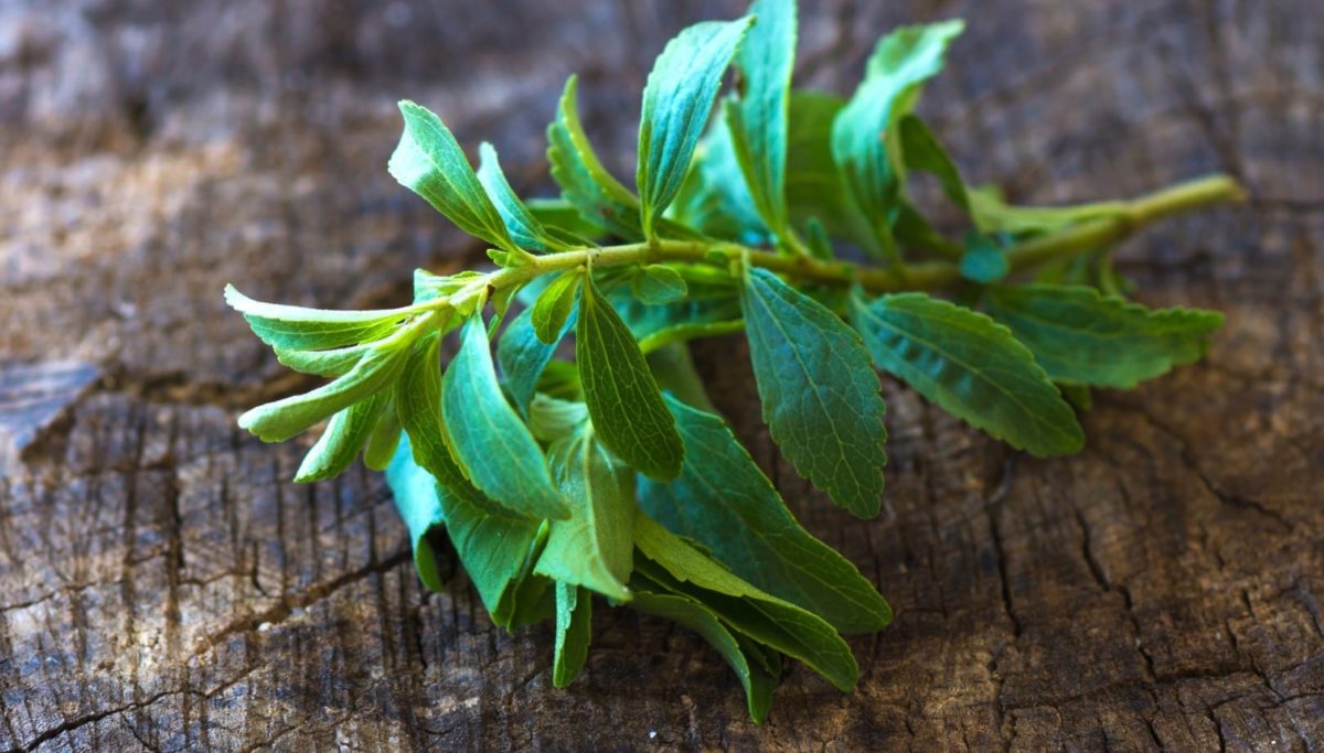 Use Stevia Instead of Sugar | Chuckling Goat