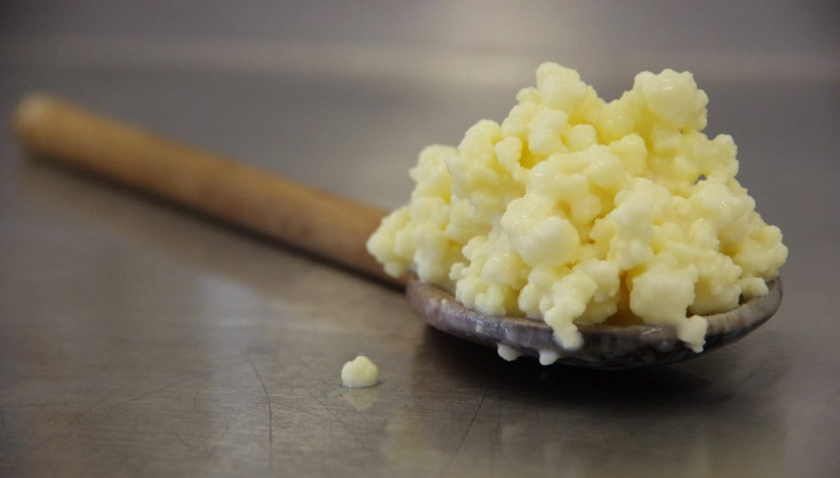 13 Things You May Not Know About Kefir | Chuckling Goat