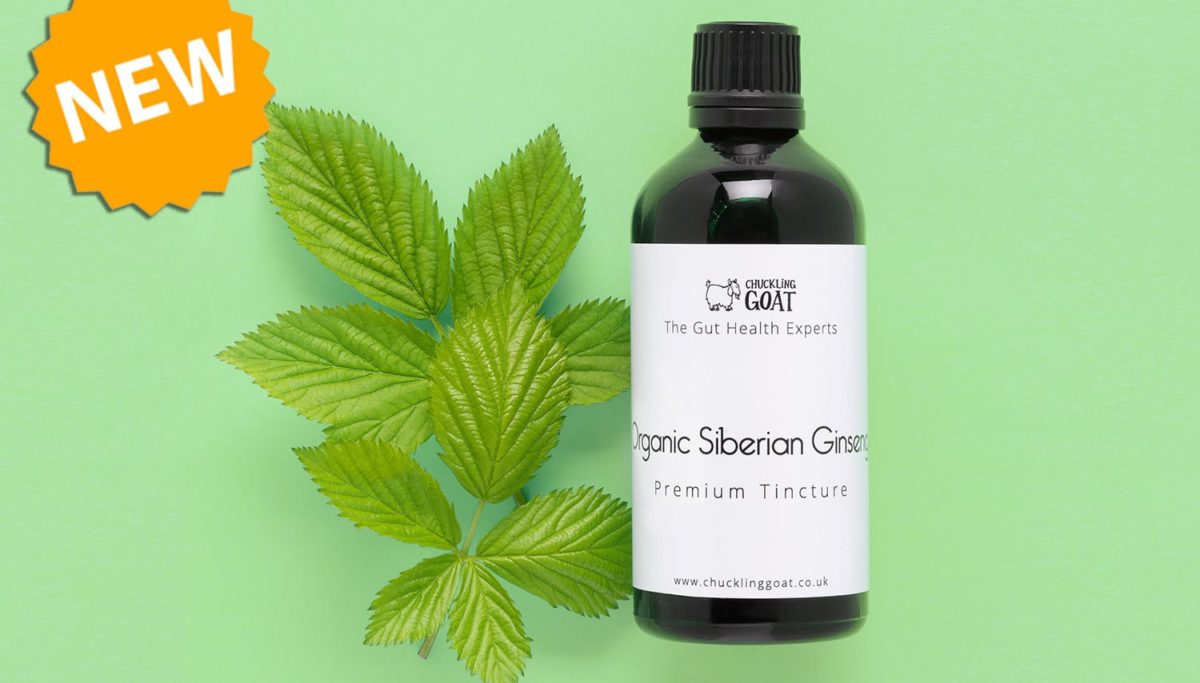 How can Siberian ginseng boost your energy? | Chuckling Goat