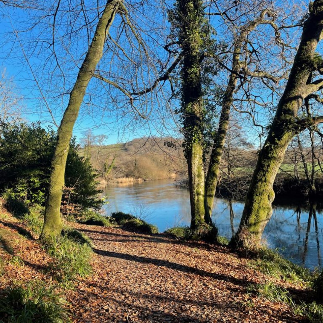 CG Top Walks In Ceredigion | Chuckling Goat