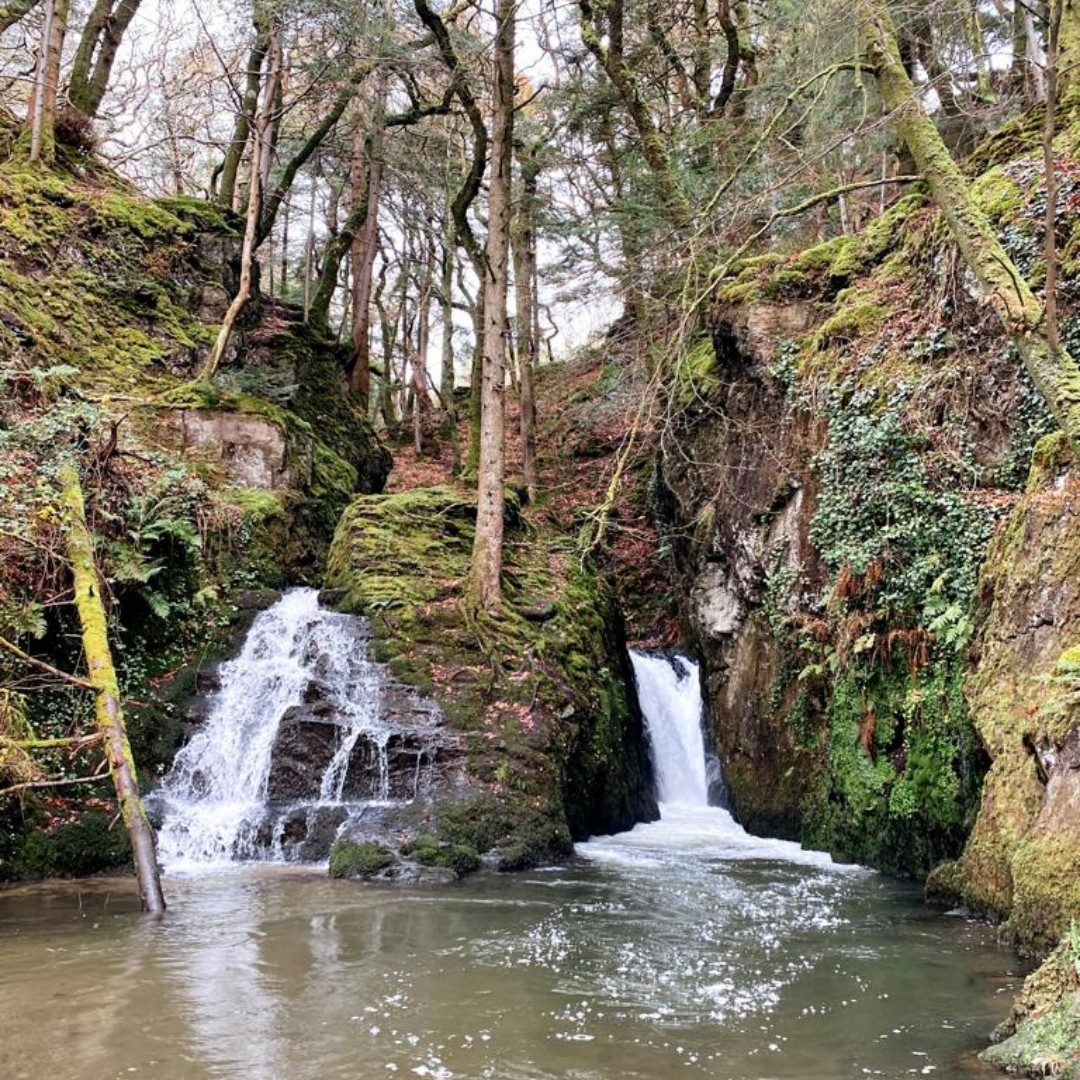 CG Top Walks In Ceredigion | Chuckling Goat