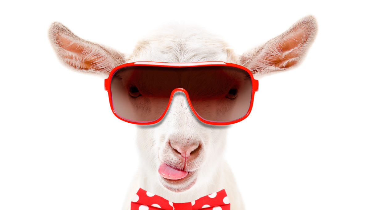 Why Goats Milk? | Chuckling Goat