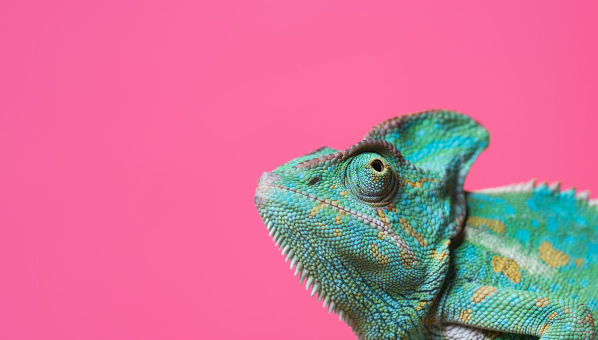 Why you should never, ever ignore your dry skin! | Chuckling Goat