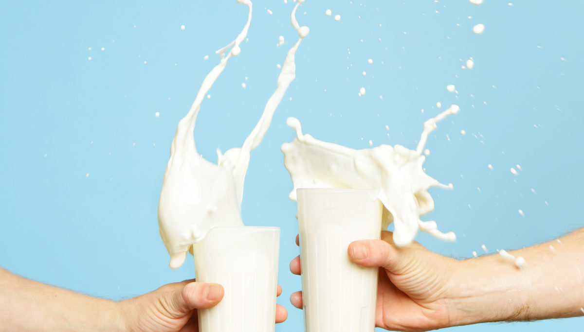 Which type of "milk" is right for you? Let's compare! | Chuckling Goat