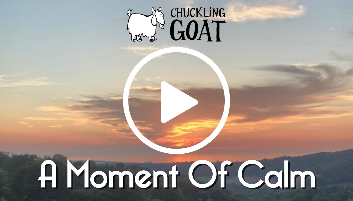 A Moment Of Calm - Summer Nights 🌄 | Chuckling Goat
