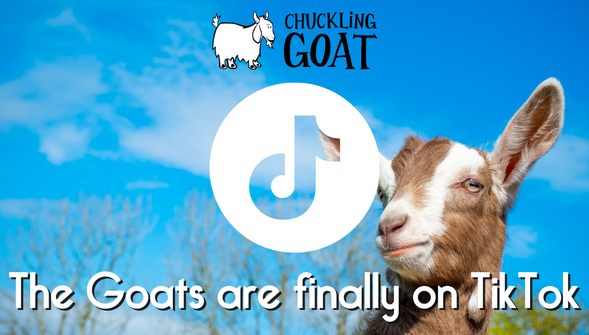 The Goats are finally on TikTok 🐐😎 | Chuckling Goat