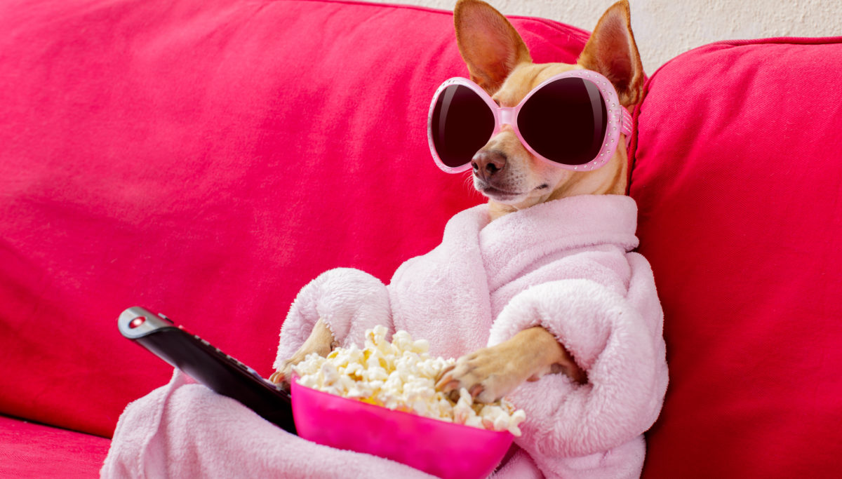 6 reasons why you're hungry all the time | Chuckling Goat