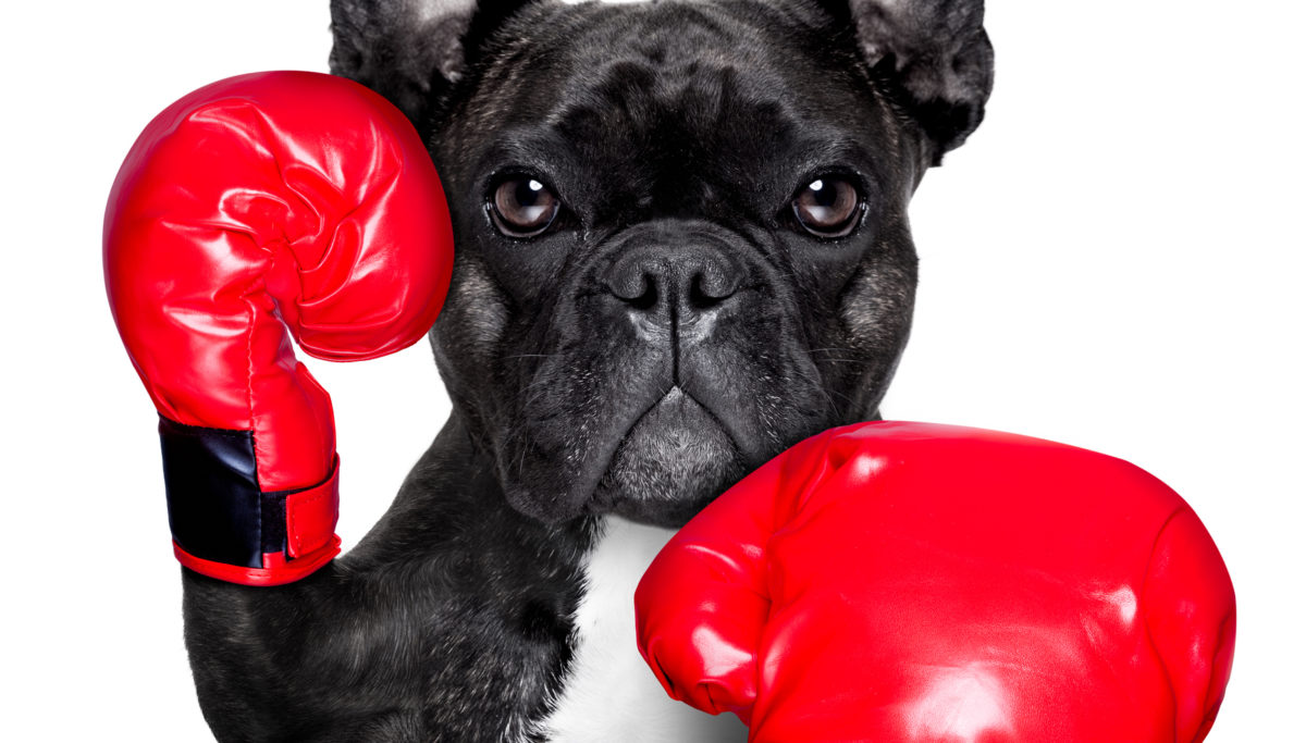 4 Steps To Combat Post-Viral Fatigue | Chuckling Goat