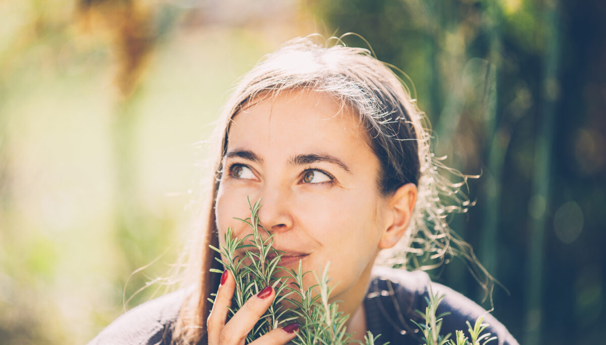 Rosemary - the hero of the herb rack! | Chuckling Goat