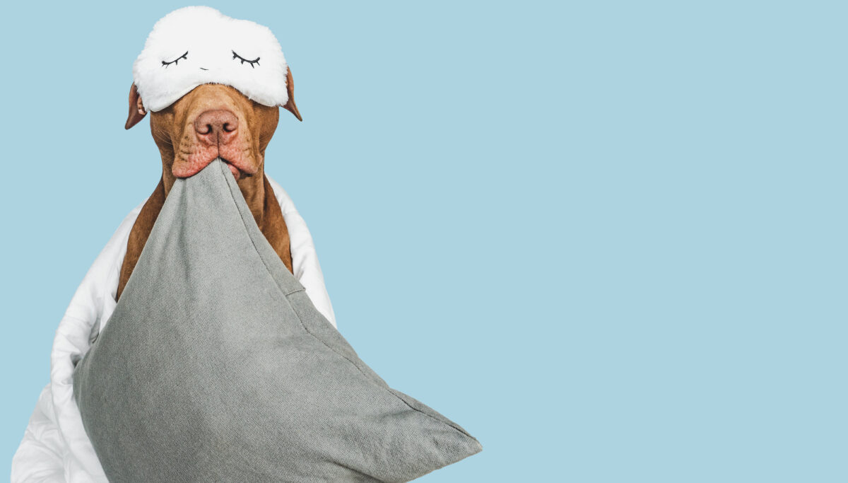 The original chill pill: 3 ways magnesium can help you sleep | Chuckling Goat