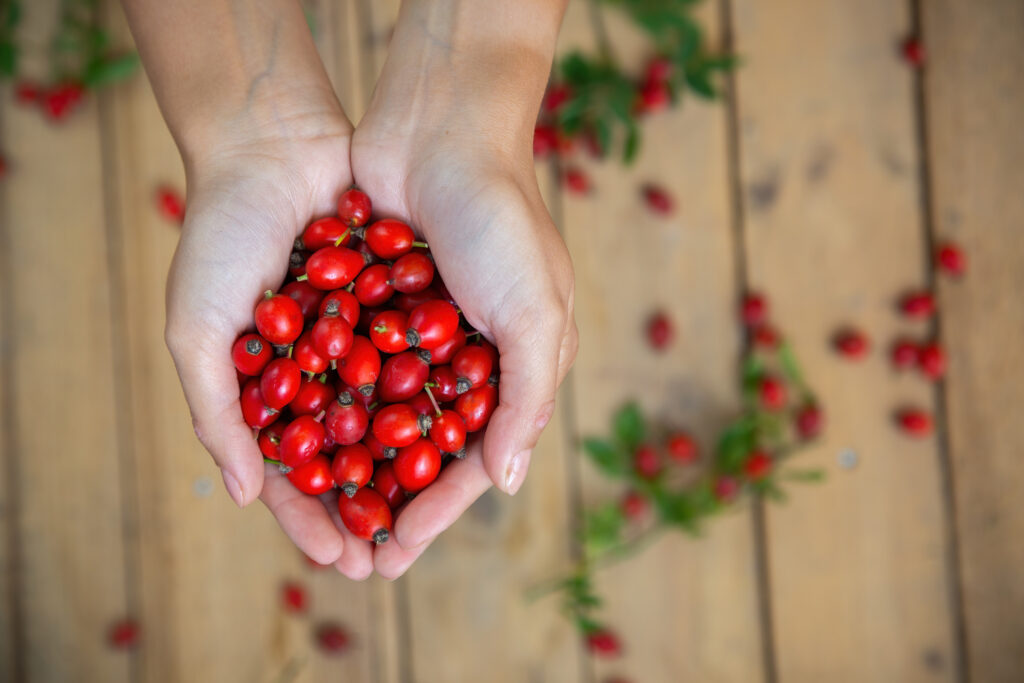 In the Farmhouse Kitchen with Shann: DIY Rose Hip Cordial