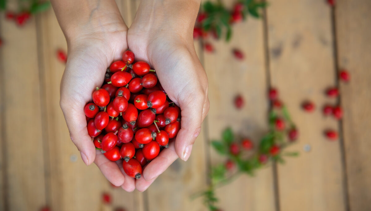 In the Farmhouse Kitchen with Shann: DIY Rose Hip Cordial | Chuckling Goat