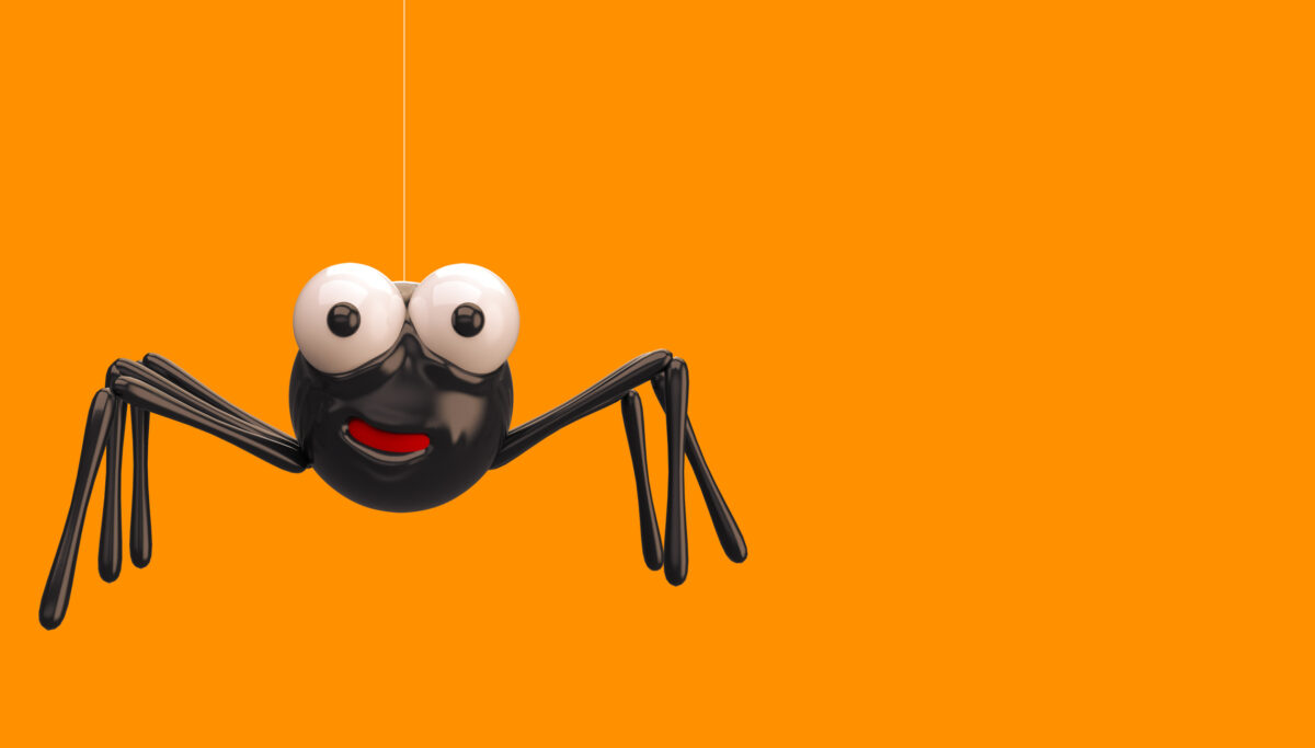 DIY natural spider repellent | Chuckling Goat