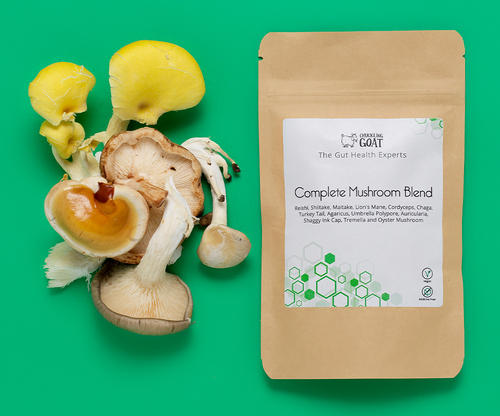 Discover the power of medicinal mushrooms!