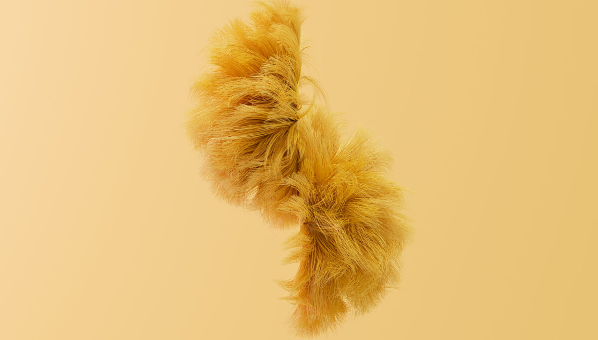 6 ways Lion's Mane mushroom can boost cognitive vitality | Chuckling Goat