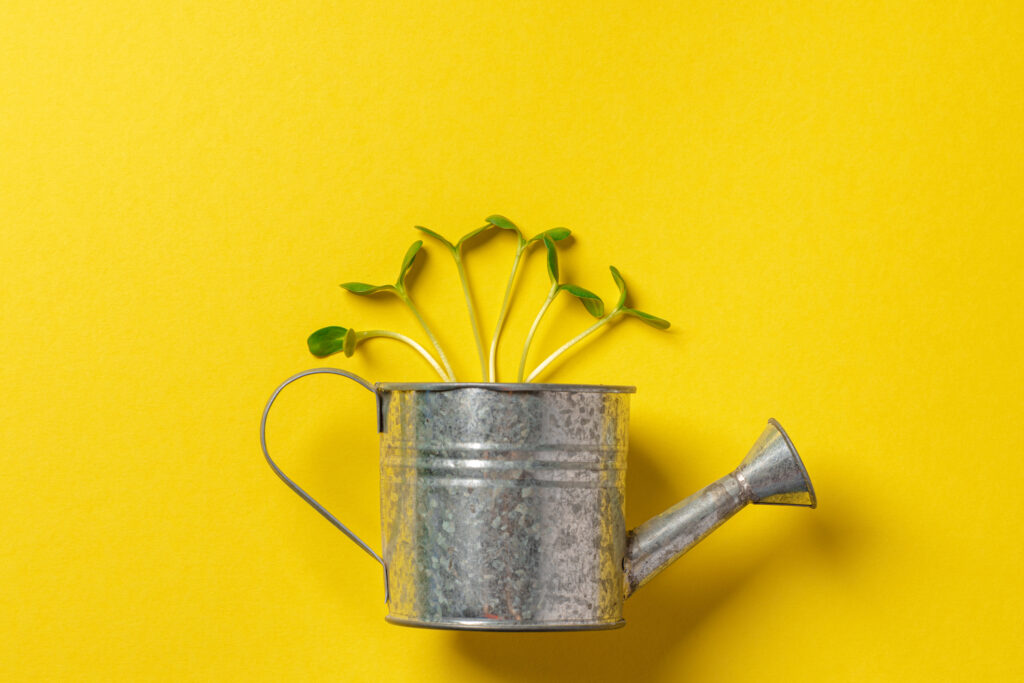 Herb gardening: DIY at home!