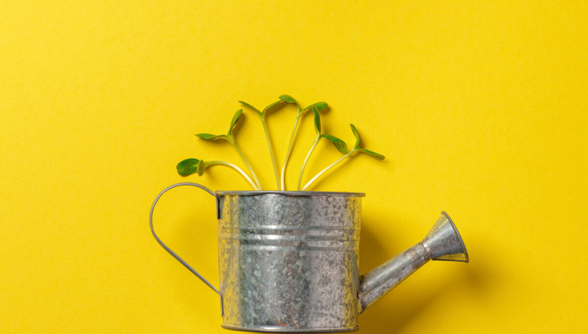 Herb gardening: DIY at home! | Chuckling Goat