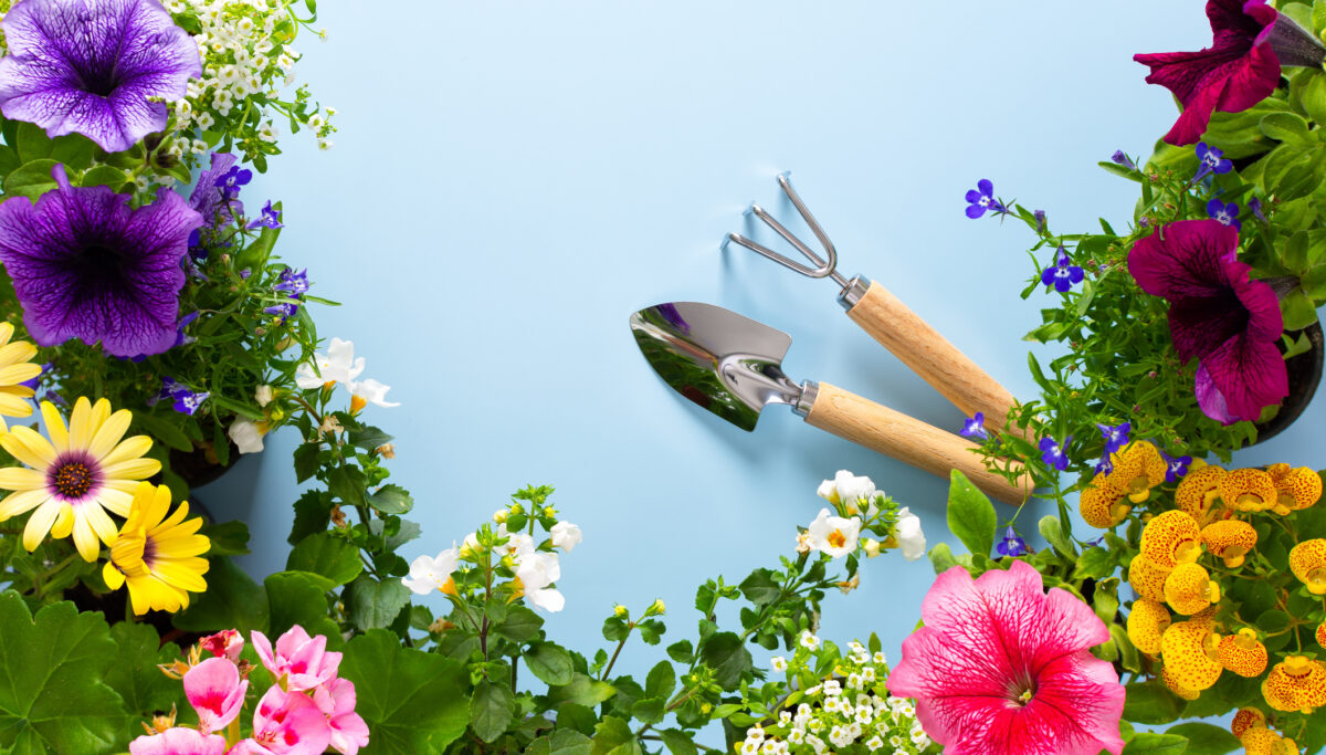 How your gut microbiome is like a garden | Chuckling Goat