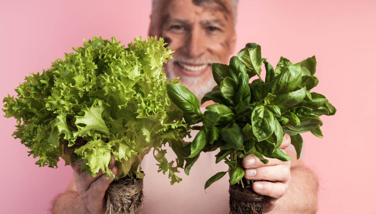 Boost your immunity through urban gardening! | Chuckling Goat