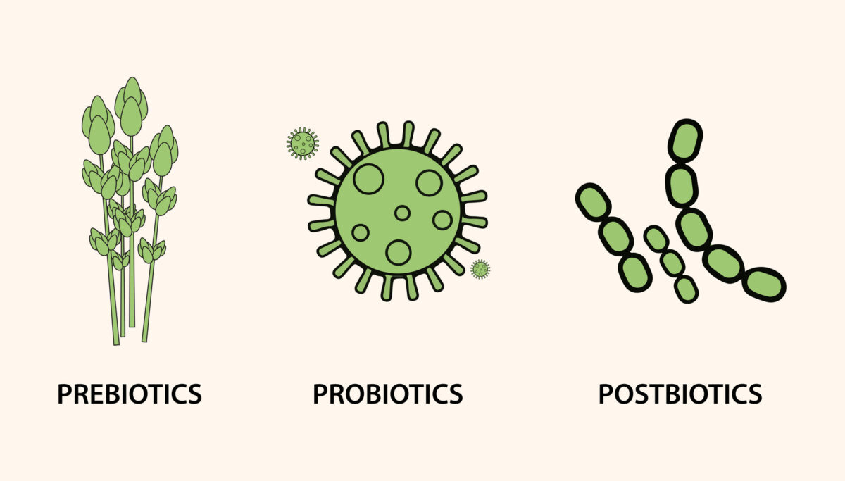 The power of postbiotics | Chuckling Goat