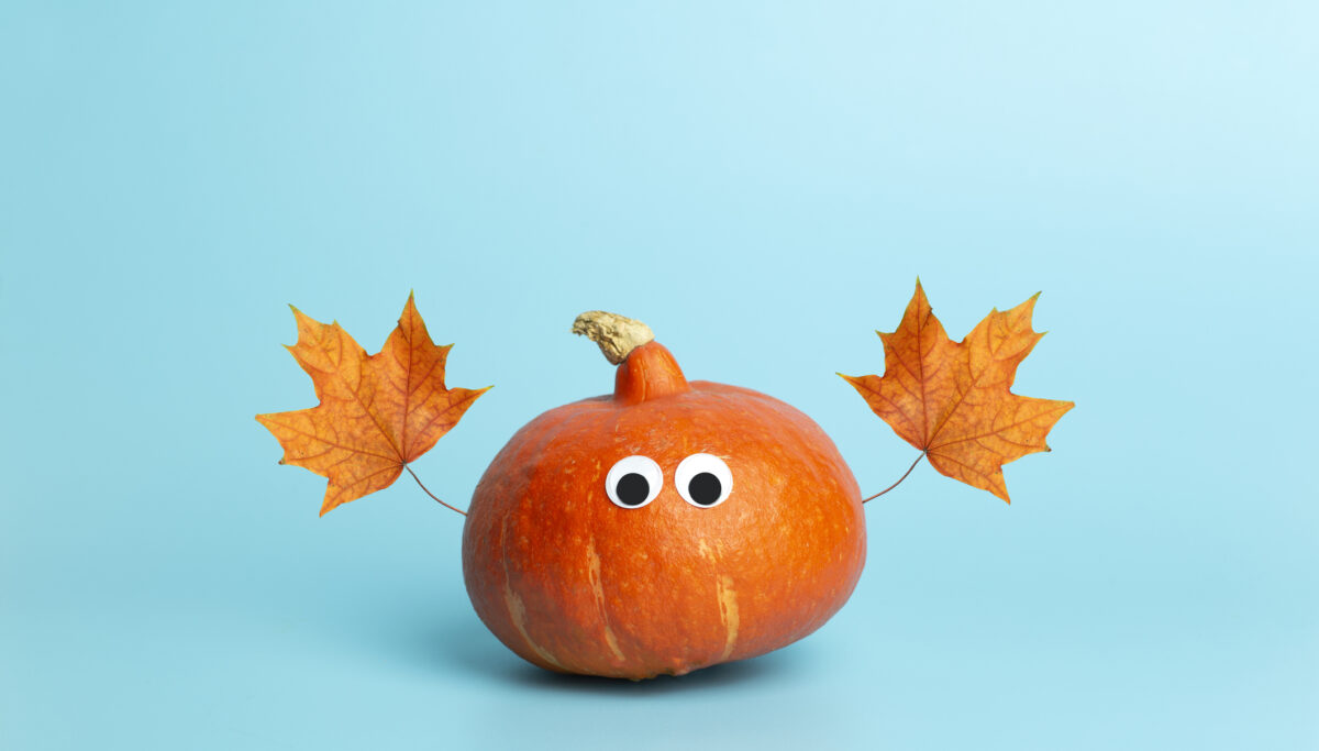 Eat seasonally this autumn🍂 | Chuckling Goat
