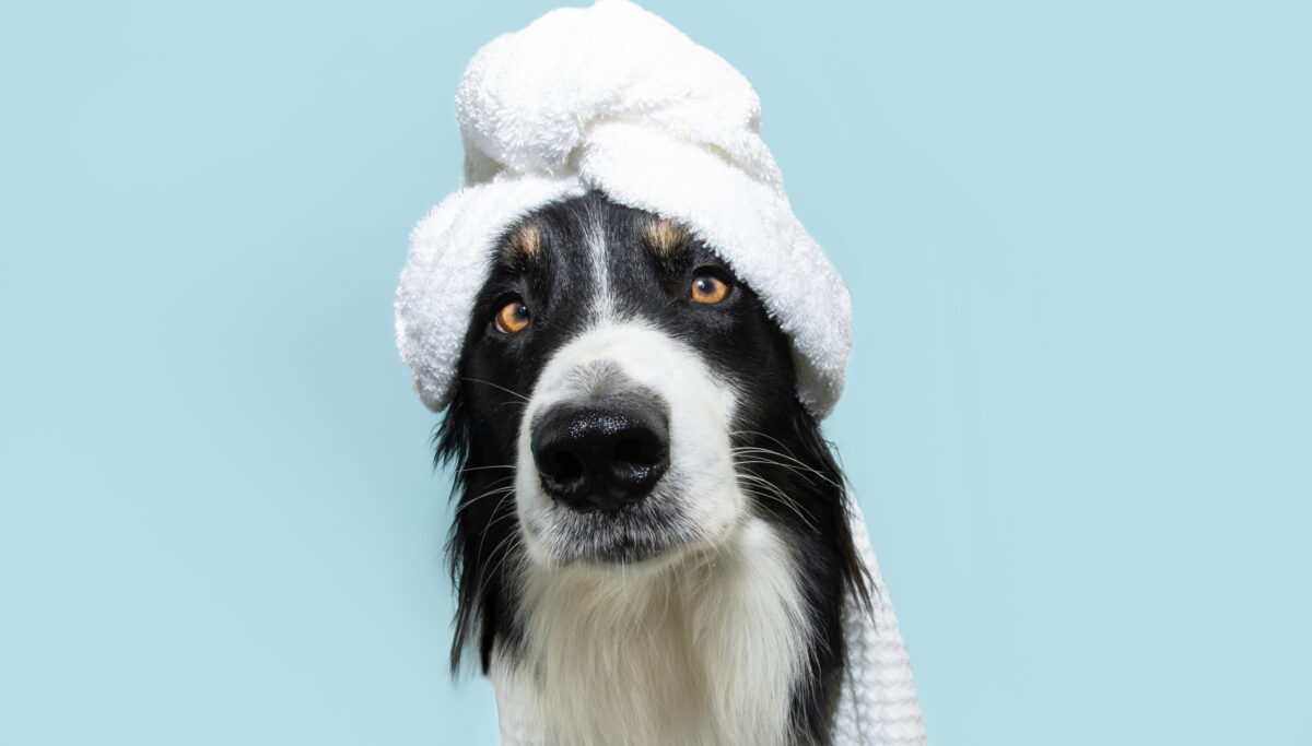 Top CG products for National Eczema Week! | Chuckling Goat