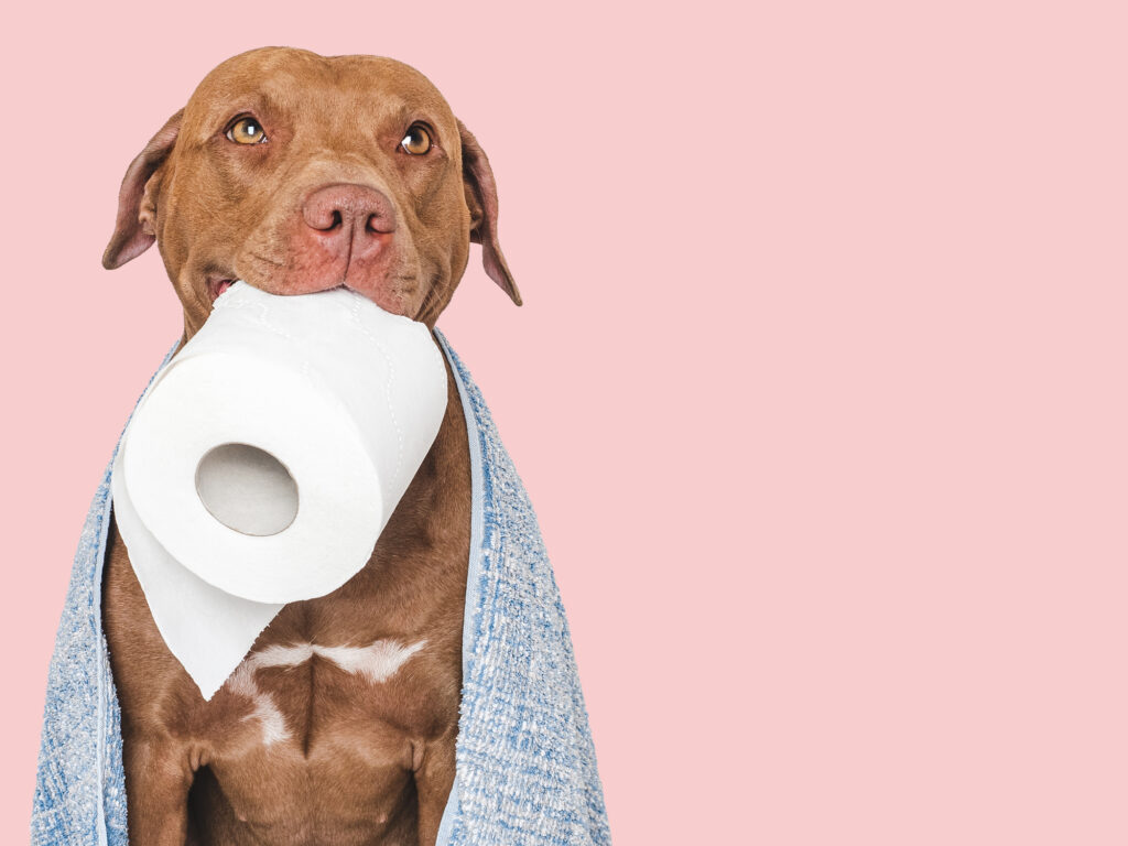 6 top tips for dealing with diarrhoea