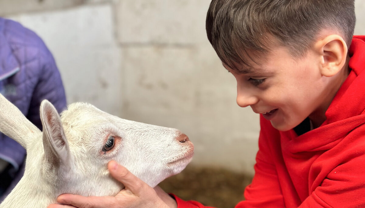 Before and Afters... | Chuckling Goat