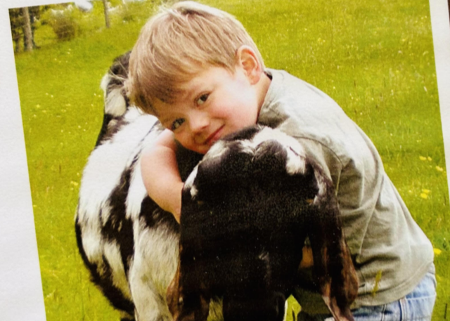 How did we discover kefir on the farm? | Chuckling Goat