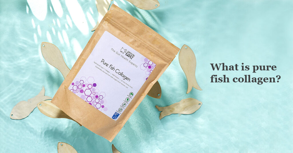 What is Fish Collagen?