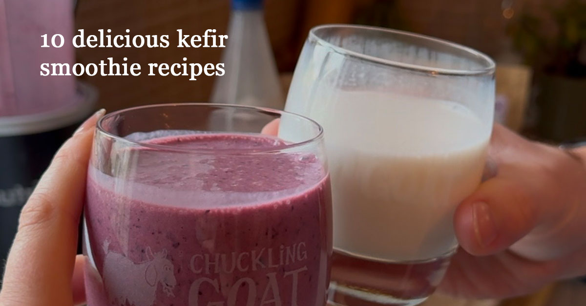 Image of 2 Chuckling Goat Kefir glasses, one with Gut Health Smoothie and one with CG Kefir. Captioned 10 delicious kefir smoothie recipes.