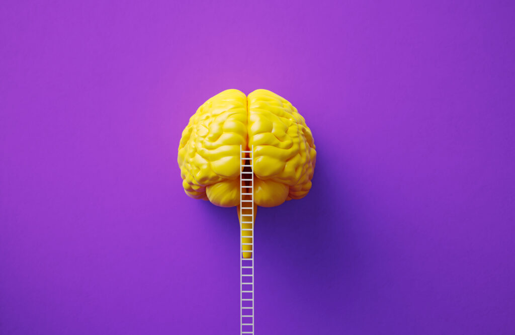 Neurotransmitters in the gut vs brain: what’s the difference?