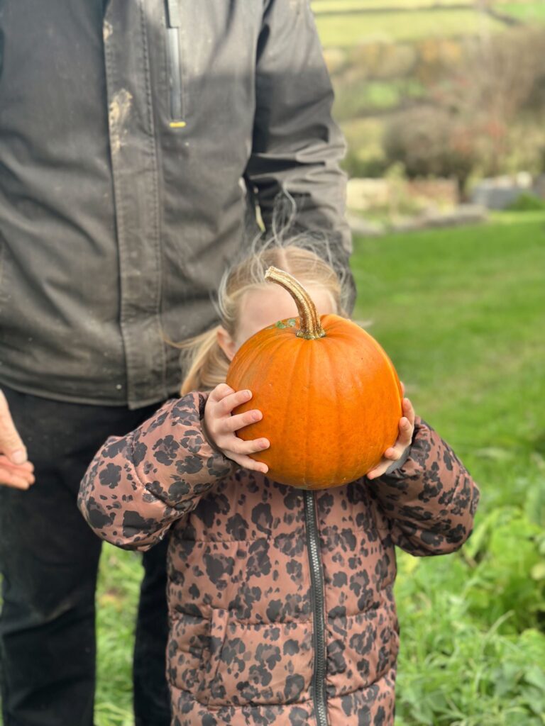 Little hands, BIG pumpkins π | Chuckling Goat